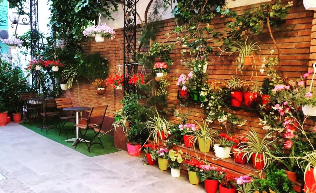Hotel Livia 3*