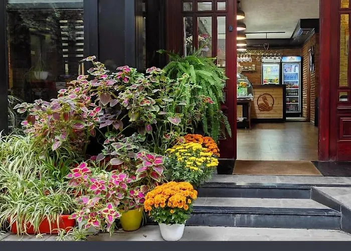 Hotel Livia