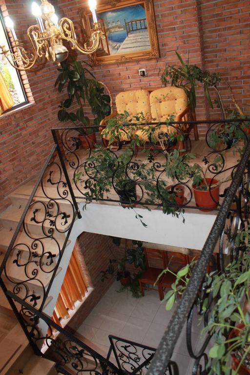 Hotel Livia 3*